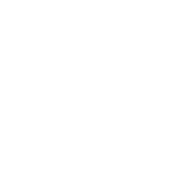 Decorative star